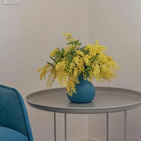 Zaffiro Attico Sanremo- Stunning View Terrace * Σαν Ρέμο